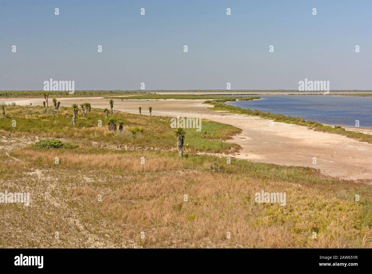 Shore Habitat di una costa del Golfo il rifugio nel Luguna Atascosa Wildlife Refuge in Texas Foto Stock