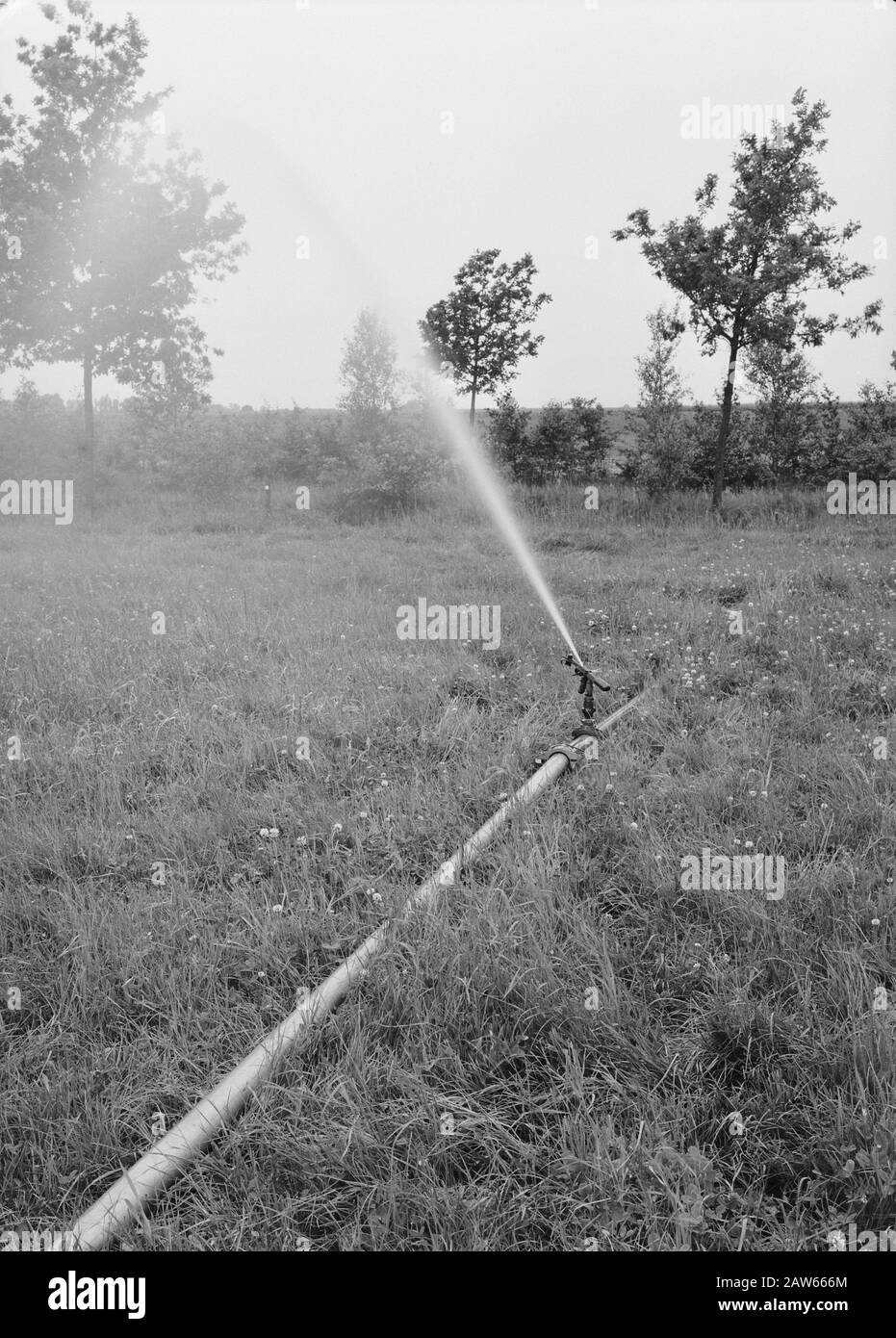 Macchine agricole, attrezzature, operazioni, impianti di irrigazione Data: Giugno 1957 Località: Noord-Brabant, Someren Parole Chiave: Sistemi di irrigazione, macchine agricole e attrezzi, opere Foto Stock Macchine agricole, attrezzature, operazioni, impianti di irrigazione Data: Giugno 1957 Località: Noord-Brabant, Someren Parole Chiave: Sistemi di irrigazione, macchine agricole e attrezzi, opere Foto Stock
