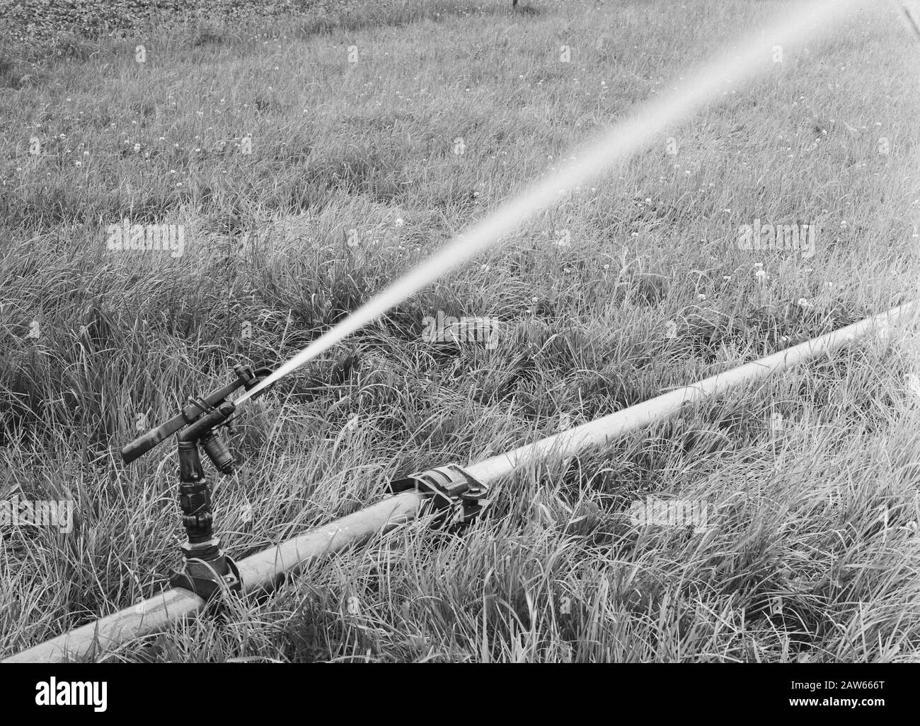 Macchine agricole, attrezzature, operazioni, impianti di irrigazione Data: Giugno 1957 Località: Noord-Brabant, Someren Parole Chiave: Sistemi di irrigazione, macchine agricole e attrezzi, opere Foto Stock Macchine agricole, attrezzature, operazioni, impianti di irrigazione Data: Giugno 1957 Località: Noord-Brabant, Someren Parole Chiave: Sistemi di irrigazione, macchine agricole e attrezzi, opere Foto Stock