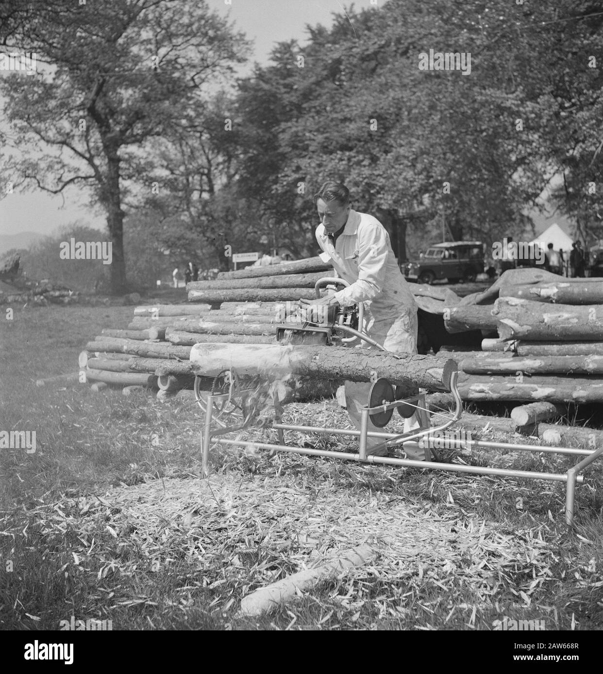 Macchinari per legno, macchinari per legno, macchinari per Segherie e TRANCERIE Data: Parole Chiave non utilizzate: Tronchi, macchinari per Segherie e TRANCERIE, utensili Foto Stock