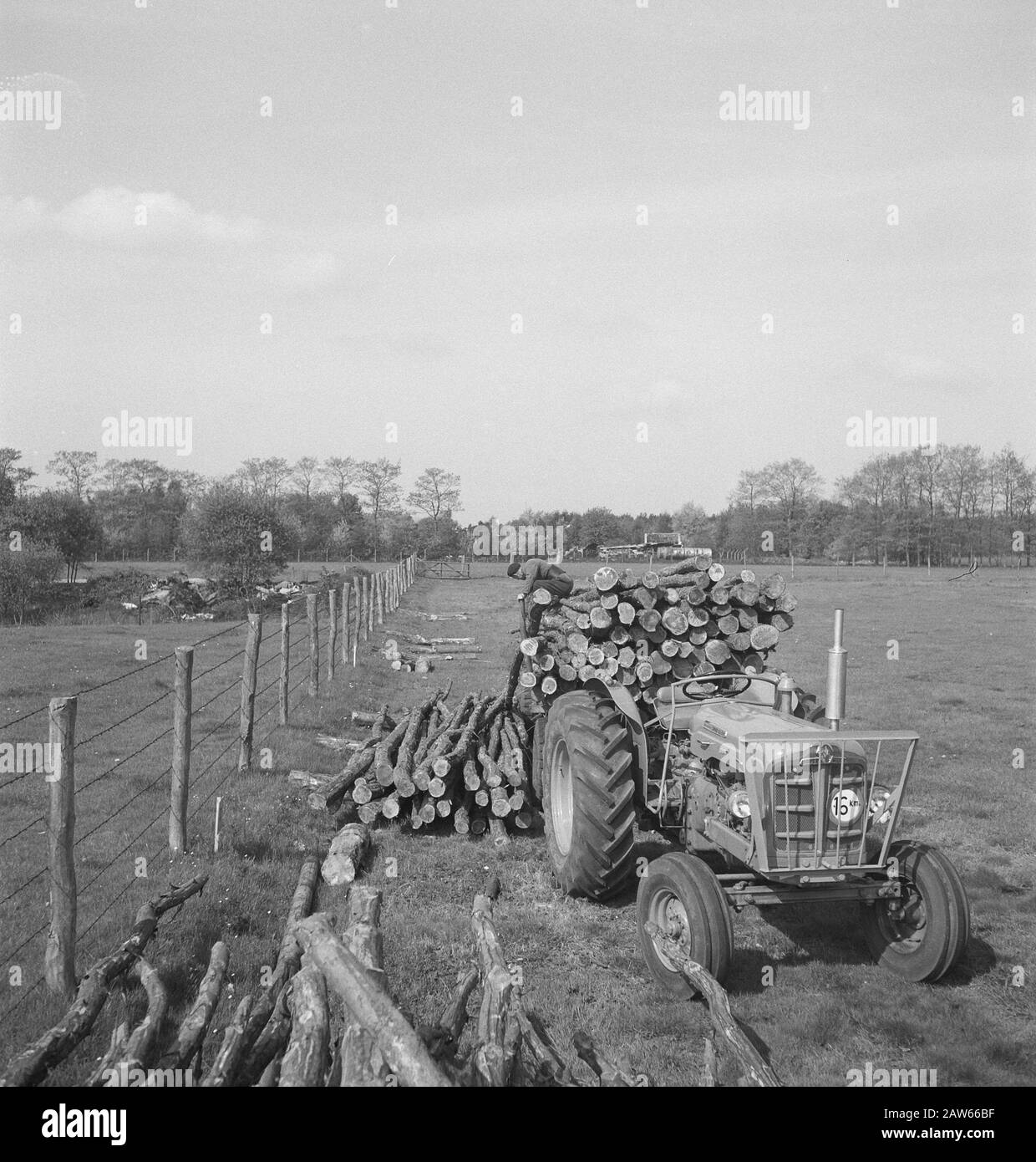 Macchine agricole, attrezzi, carrelli, tronchi, trattori Data: Parole Chiave non utilizzate: Tronchi, carrelli, macchine agricole, attrezzi Nome Persona: Trattore Foto Stock Macchine agricole, attrezzi, carrelli, tronchi, trattori Data: Parole Chiave non utilizzate: Tronchi, carrelli, macchine agricole, attrezzi Nome Persona: Trattore Foto Stock