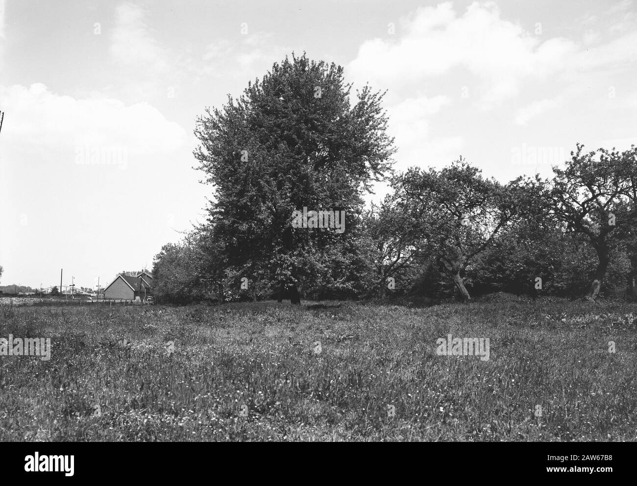 Dove l'accesso sarà Data: Undata luogo: Nuth Parole Chiave: Natura Foto Stock