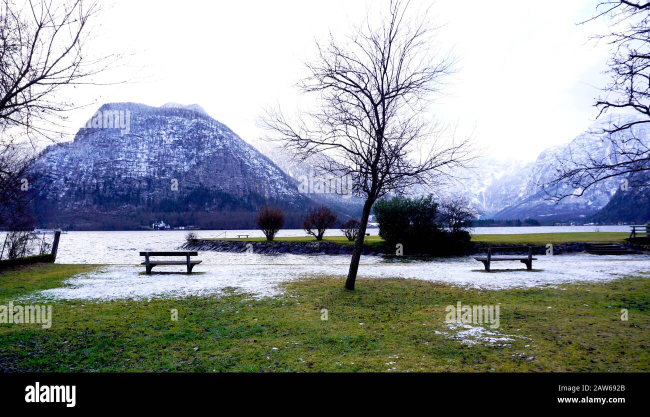 Scena del lago di Hallstatt e campo verde erba all'aperto e panca per rilassarsi con sfondo di montagna di neve in Austria nelle alpi austriache Foto Stock