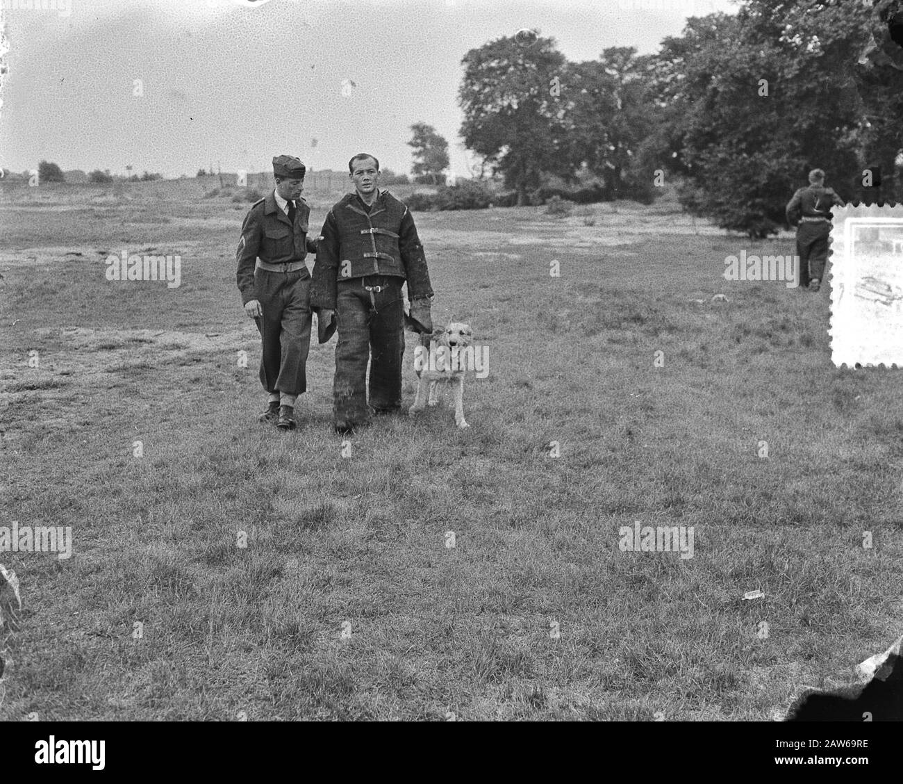 Training dog handler LSK Data: 7 agosto 1952 Parole Chiave: Training Person Nome: LSK Foto Stock