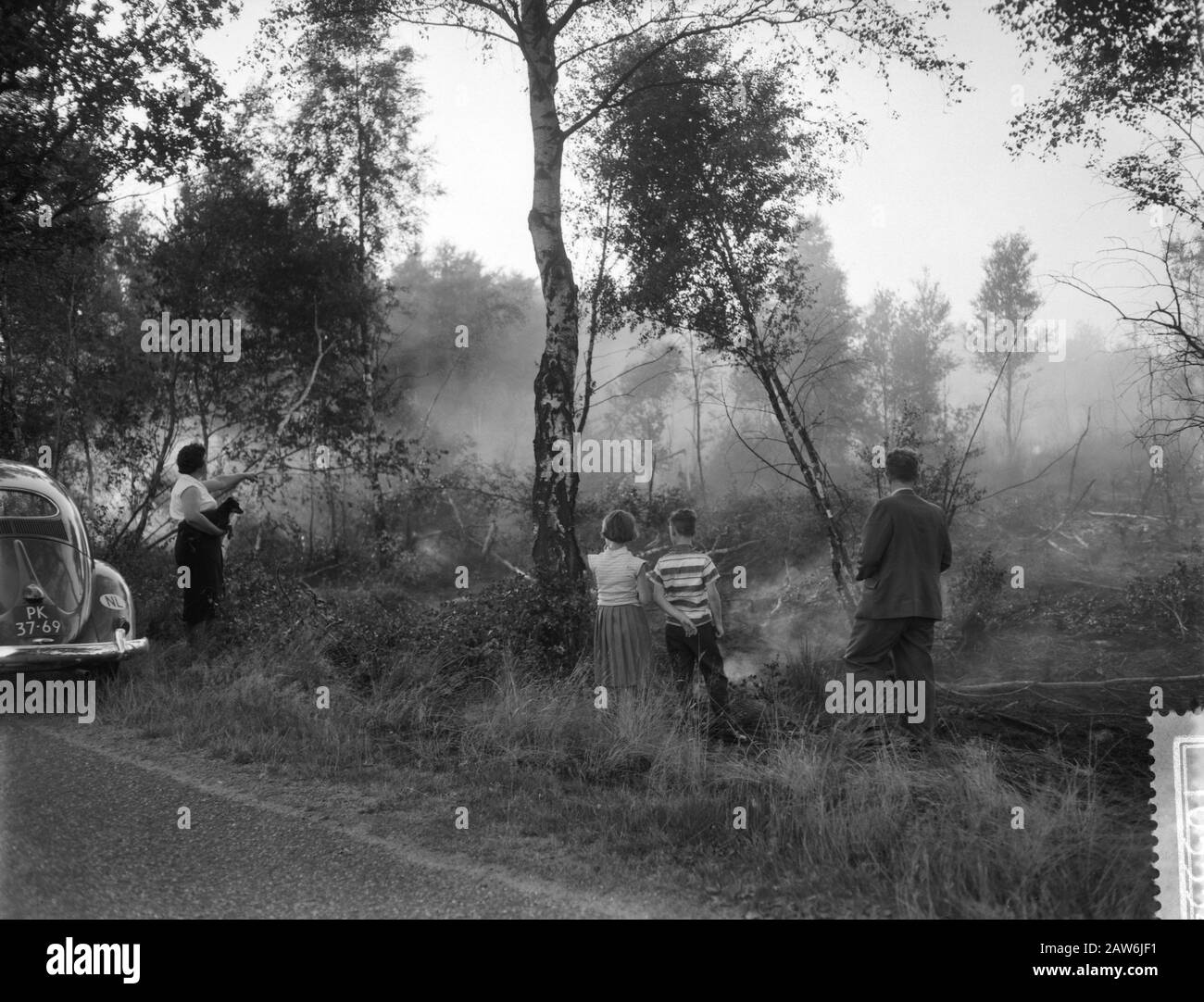 Peel Fire at Helenaveen in Brabant, public viewing d Fire Data: 28 luglio 1959 Foto Stock