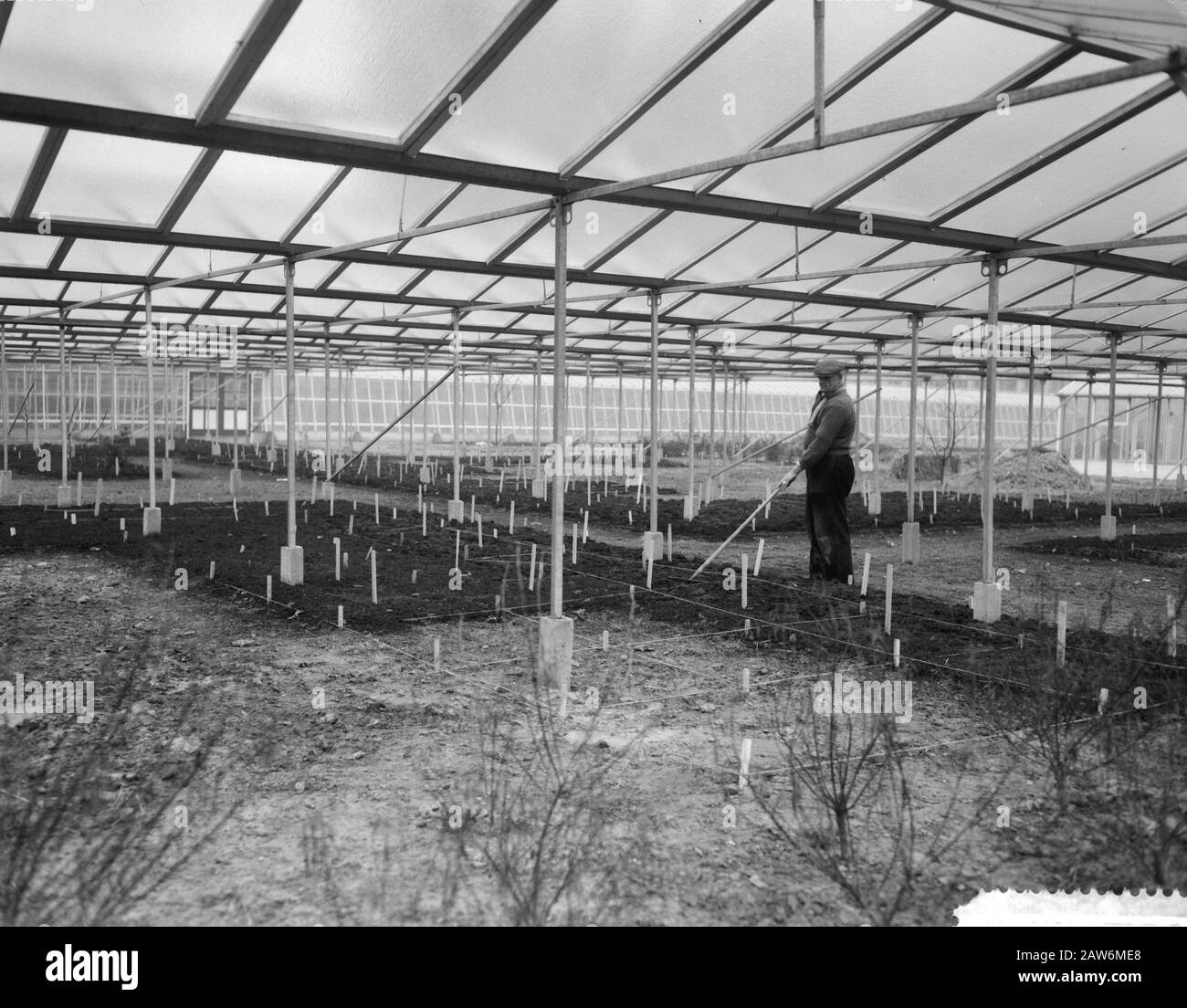 Floriade Rotterdam, 1960 Edilizia Mostra internazionale orticola Floriade a Rotterdam, bara aperte della cultura olandese fiore bulbo Data: 5 gennaio 1960 Località: Rotterdam, Sud Olanda Parole Chiave: Floriades, serre Foto Stock