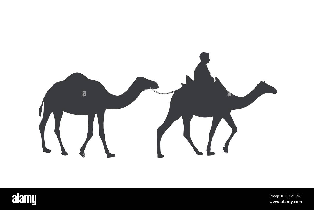 Silhouette di una carovana di cammelli e un drover in sella. Dromedario, cammelli un-humped e beduino. Illustrazione Vettoriale