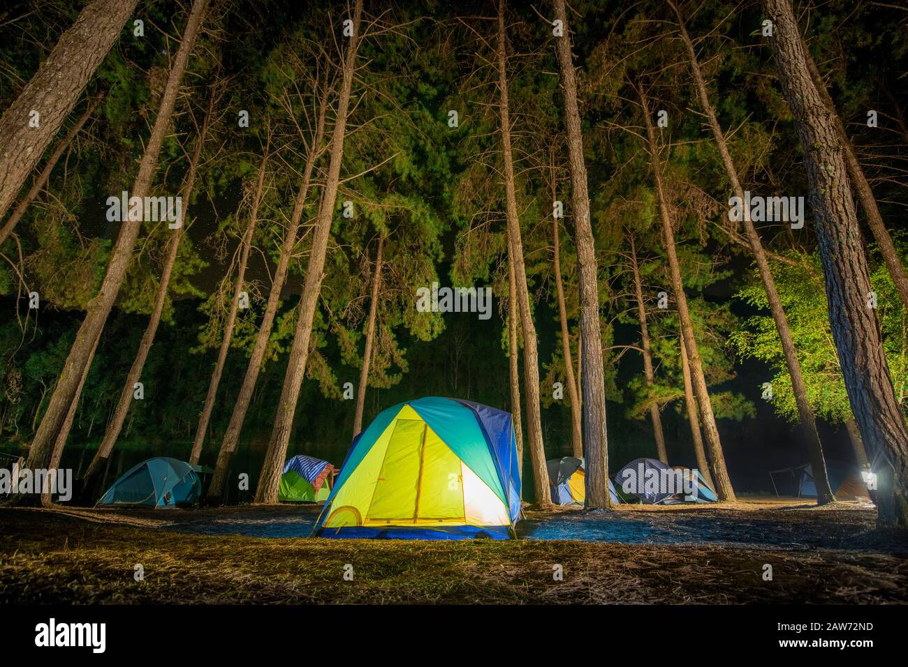Avventure Camping turismo e tenda sotto la vista pineta paesaggio vicino acqua notte all'aperto a Pang-ung, pineta parco, Mae Hong Son, Thaila Foto Stock