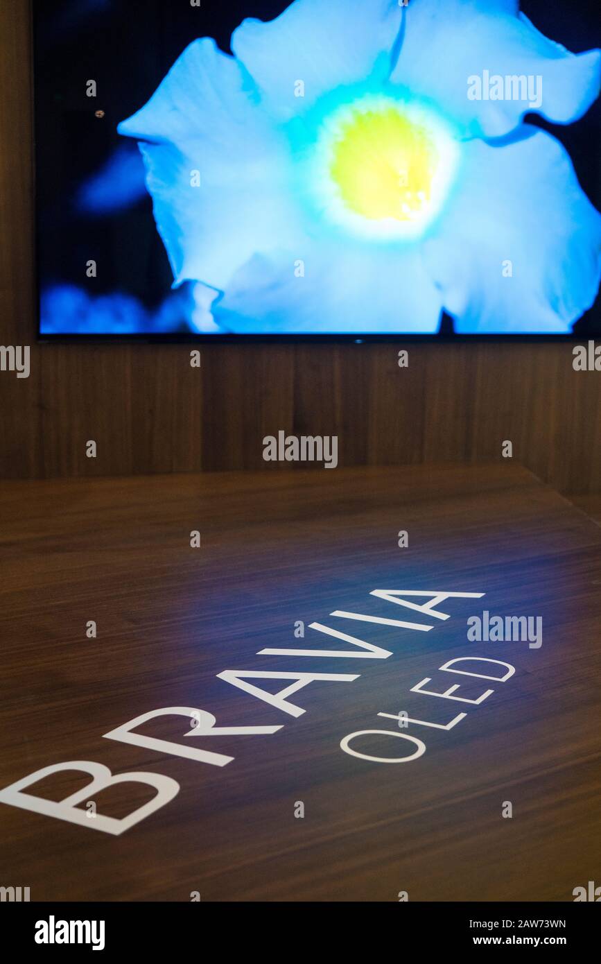 Shenzhen, Cina, Aprile 2019. BRAVIA OLED sul display di Sony Expo 2019. BRAVIA è un marchio di Sony Visual Products Inc., una società interamente controllata da S. Foto Stock