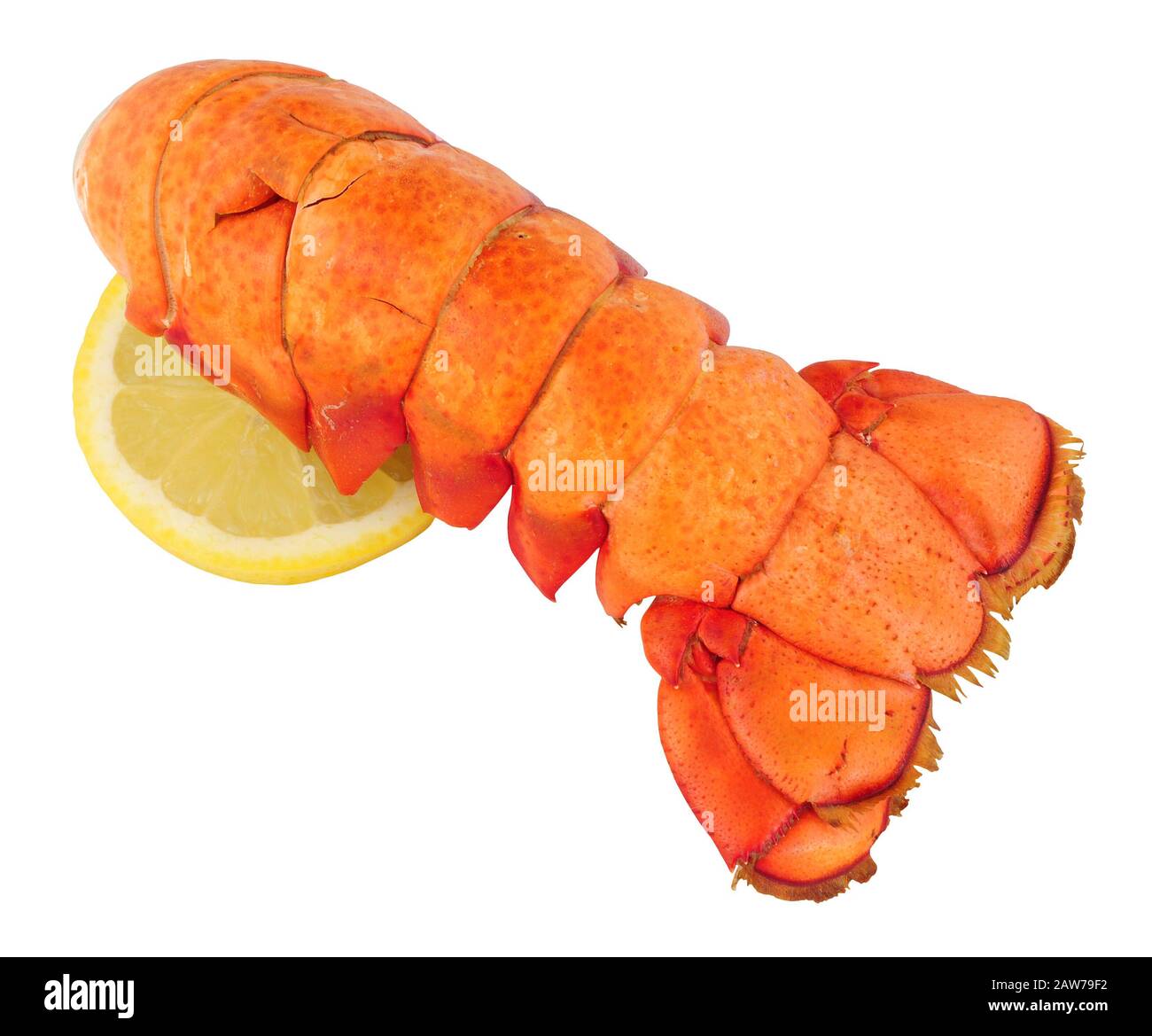 Coda di aragosta cotta isolata su sfondo bianco Foto Stock