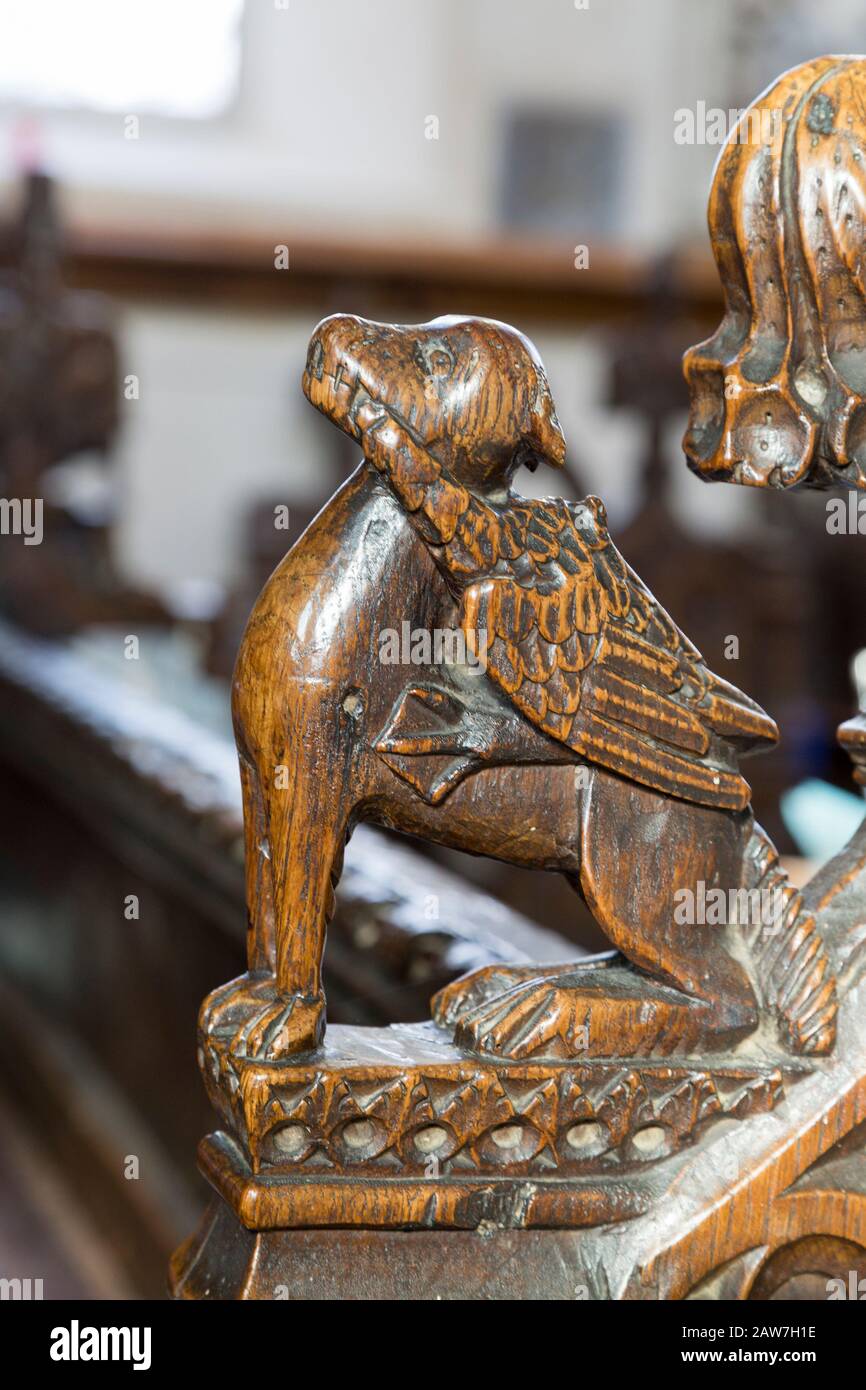 Un cane alato, quindicesimo secolo in legno intagliato pew estremità del banco delle figure umane e creature fantastiche, Ufford chiesa, Suffolk, Inghilterra, Regno Unito Foto Stock
