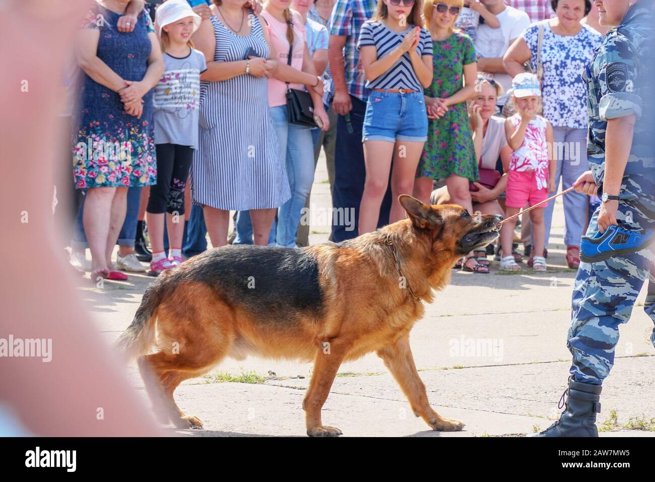 Samara, Russia - 17 agosto 2019: Un cane da pastore della polizia si esibisce di fronte alle persone in uno spettacolo di cani Foto Stock