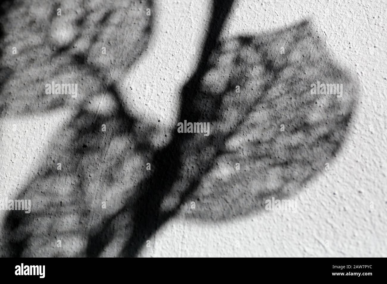 Moody Abstract immagine di Netlike Shadows per copertine di libri o altri usi artistici i Foto Stock