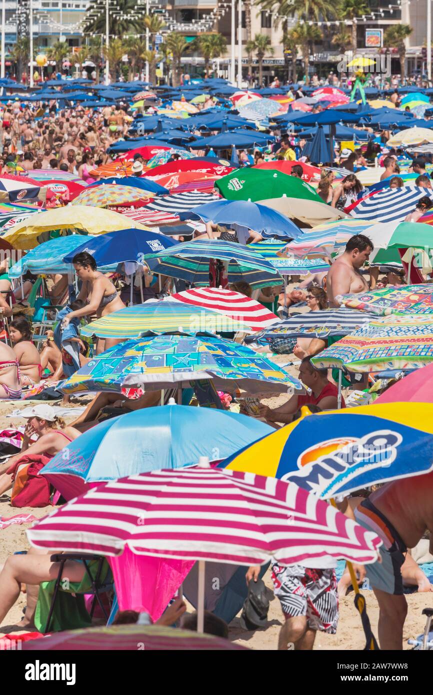 Benidorm, Costa Blanca, Alicante Province, Spagna. Spiaggia di Levante affollata di persone e ombrelloni. Foto Stock