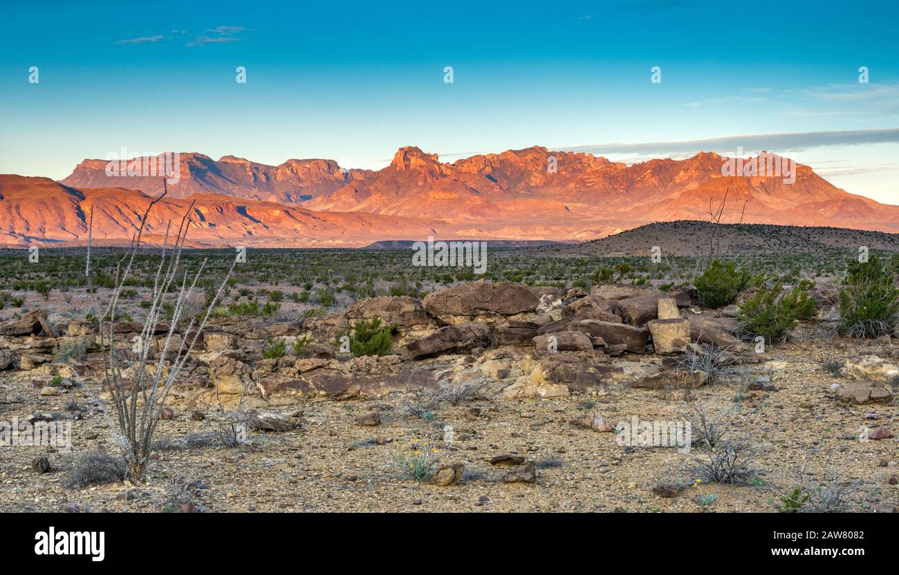 Montagne di Chisos oltre il deserto del Chihuahuan presso sunrise, vista dal Rio Grande Villaggio Drive, parco nazionale di Big Bend, Texas, Stati Uniti d'America Foto Stock