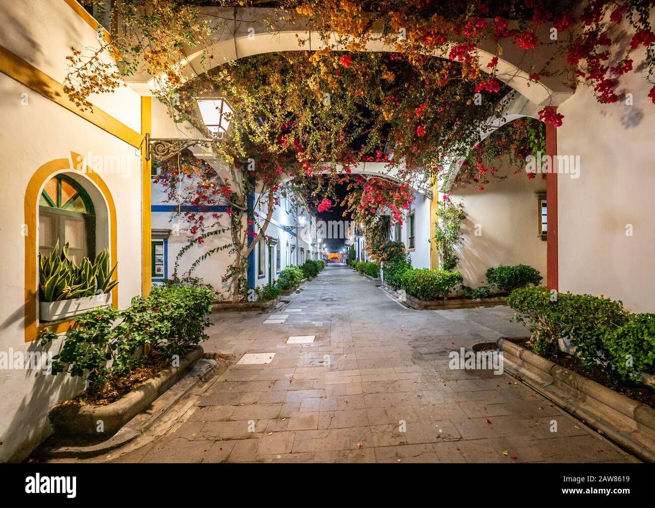 Strada con fiori a Puerto de Mogan di notte, isola di Gran Canaria, Spagna Foto Stock