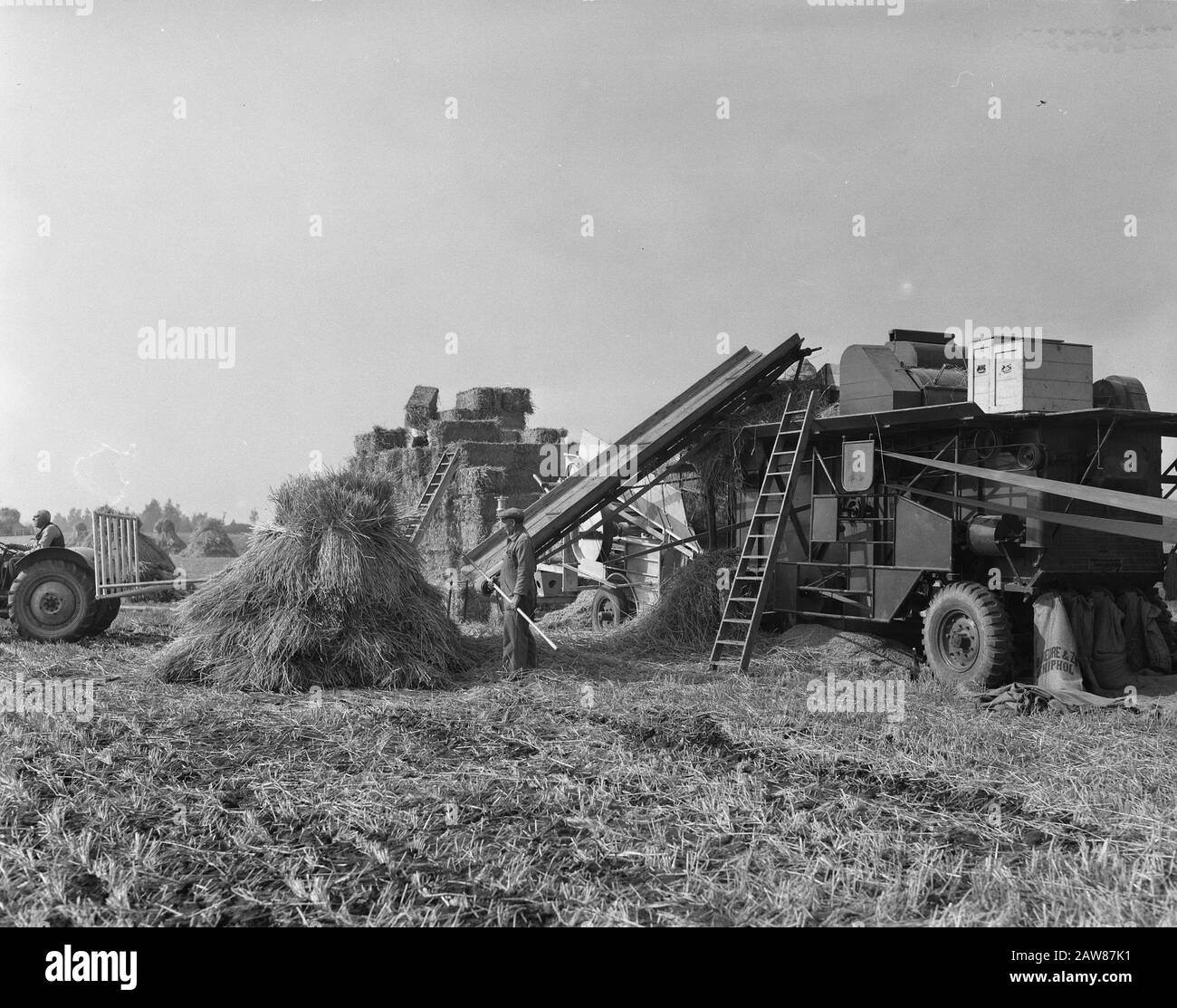 Vendemmia tardiva a Haarlemmermeer (trebbiatrice) Data: 25 settembre 1956 Parole Chiave: Raccolta del grano Foto Stock