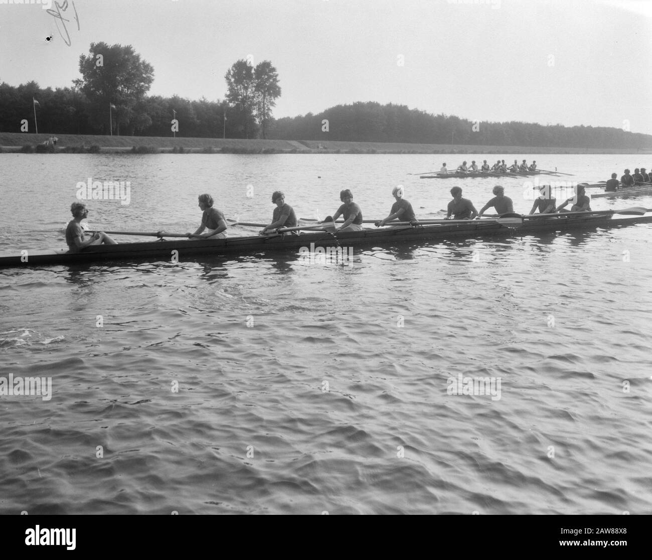 European Rowing Championships Women's 1966 at the Boscaan in Amsterdam Dutch Eight with helmsman during the start date: 28 agosto 1966 Location: Amsterdam, Noord-Holland Keywords: Rowing, sports, sports events : Bilsen, Joop van / Anefo Copyright Holder: National Archives Material Type: Negative (black / white) archive inventory number: vedere accesso 2.24.01.04 Foto Stock