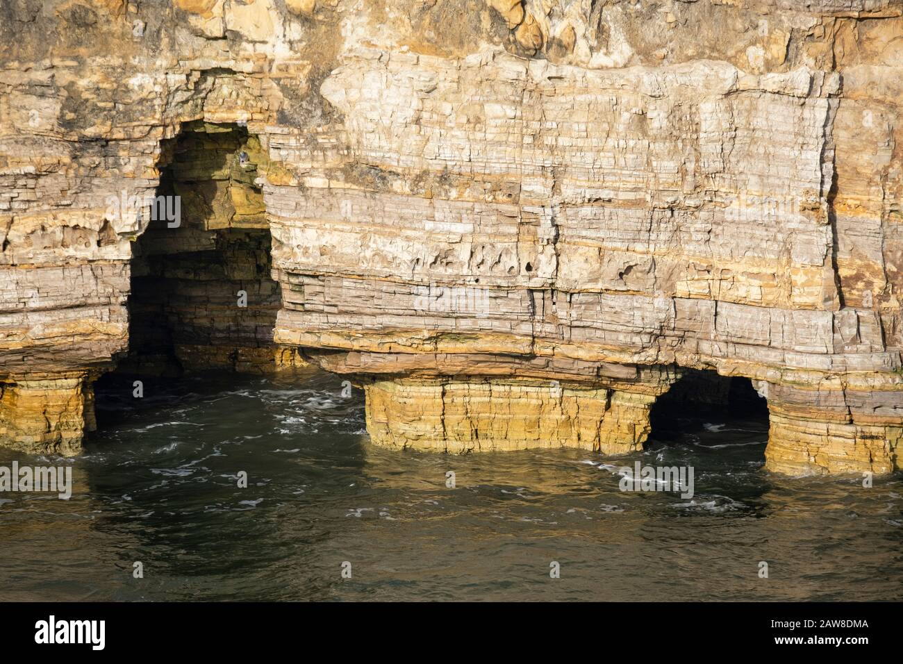 Grotte marine con alta marea, con le periclase pesantemente erose e scogliere calcaree magnesiche di Marsden Rock sulla costa tra Whitburn e South Shields Foto Stock
