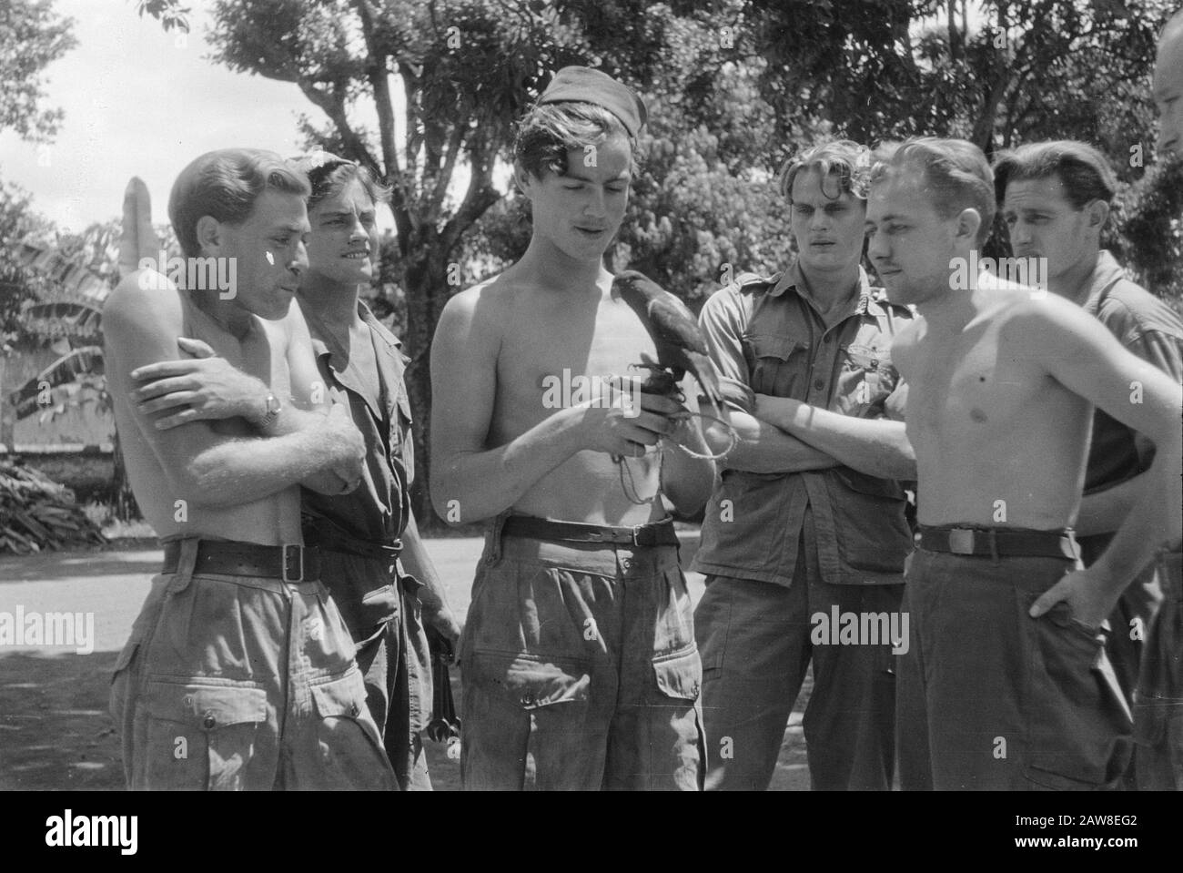 Visita I Soldati Madioense che giocano con un uccello nativo (un tipo di parrocchetto) Data: Marzo 1949 luogo: Indonesia, Java, Madiun, Indie orientali olandesi Foto Stock