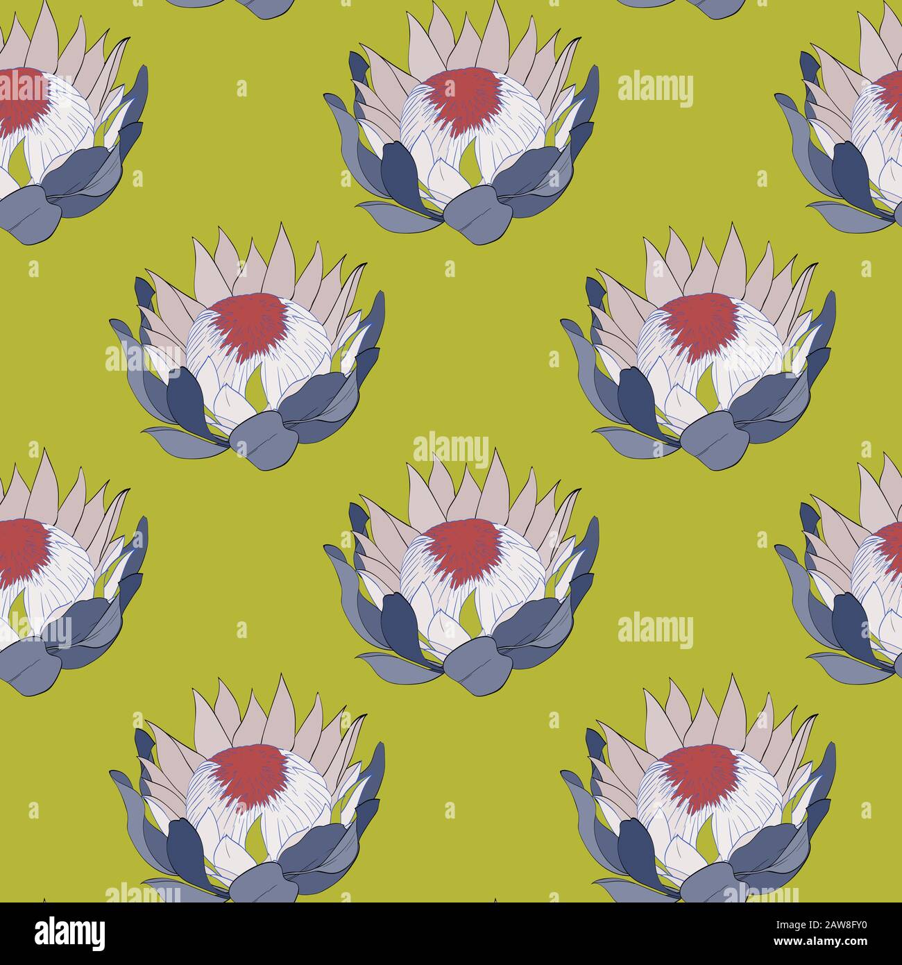 Set di pattern vettoriali di proteas. Illustrazione Vettoriale