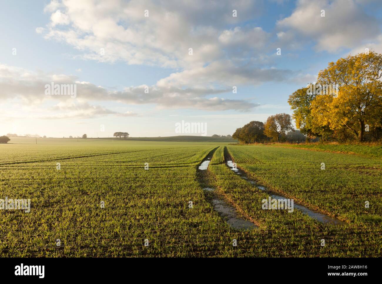 Terreno agricolo paesaggio Foto Stock
