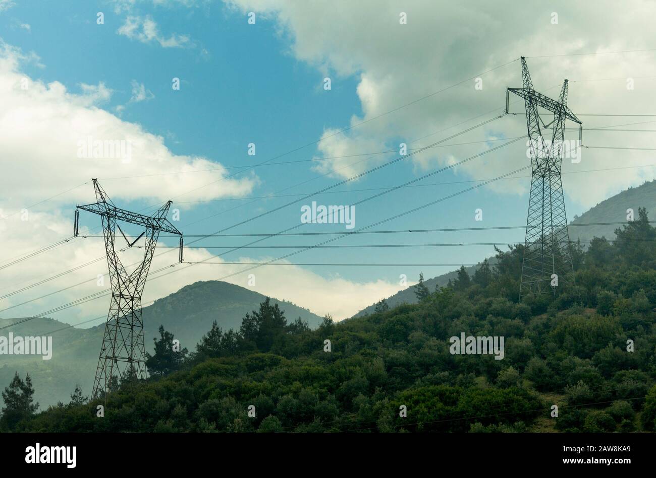 Piloni di elettricità che tagliano attraverso foresta. Linee elettriche a Mountain Foto Stock