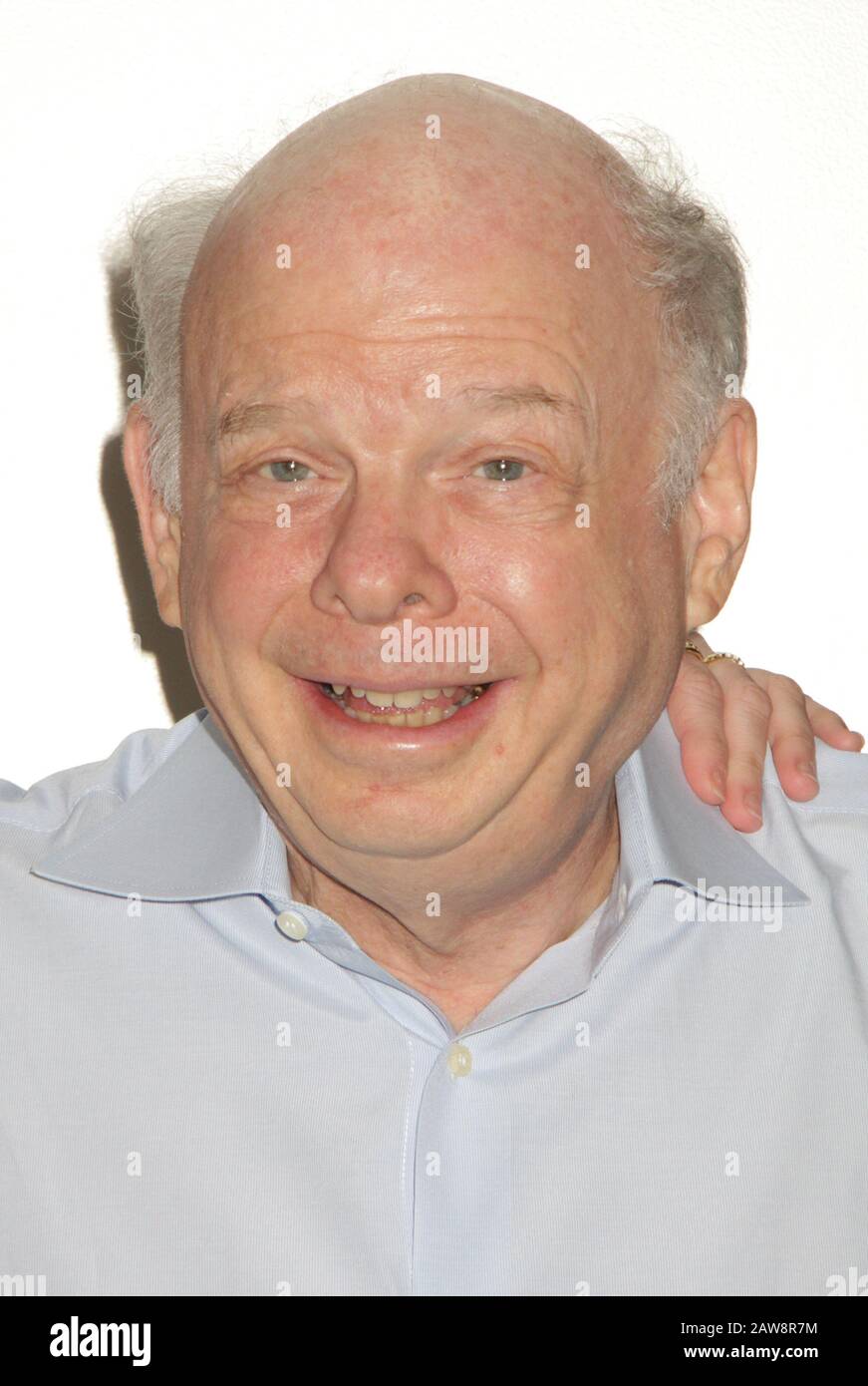 Wallace Shawn 31/01/2020 Disney+ 'Timmy Failure: Errori Sono Stati Fatti' Photocall Tenuto Presso I Walt Disney Studios A Burbank, Ca Photo: Cronos/Hollywood News Foto Stock