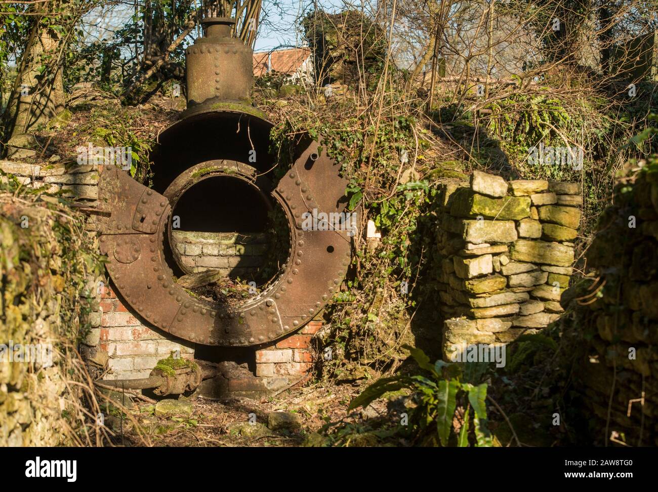 Primavera a Rag Mill wood, Slaughterford, Wiltshire. Foto Stock