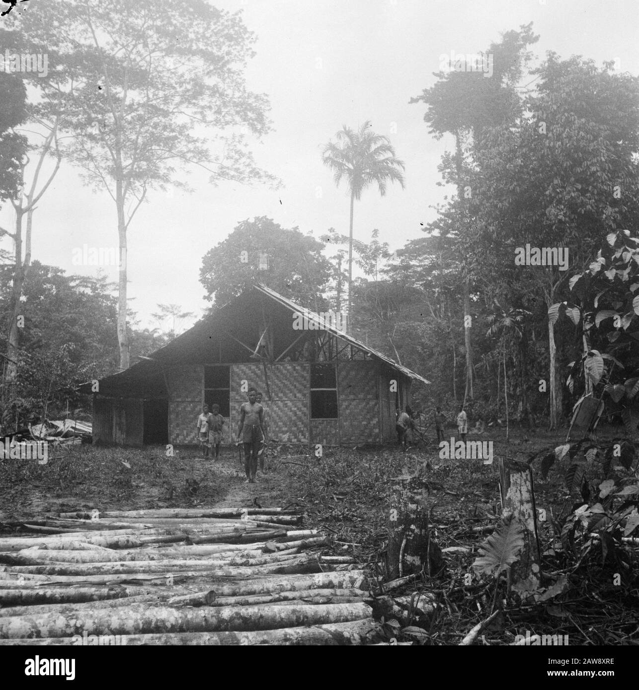 Relazione Hollandia [Manokwari? Nuova Guinea. Una casa natale. In Primo Piano Trunks Data: Febbraio 1947 Località: Indonesia, Manokwari, Indie Orientali Olandesi, Nuova Guinea Foto Stock