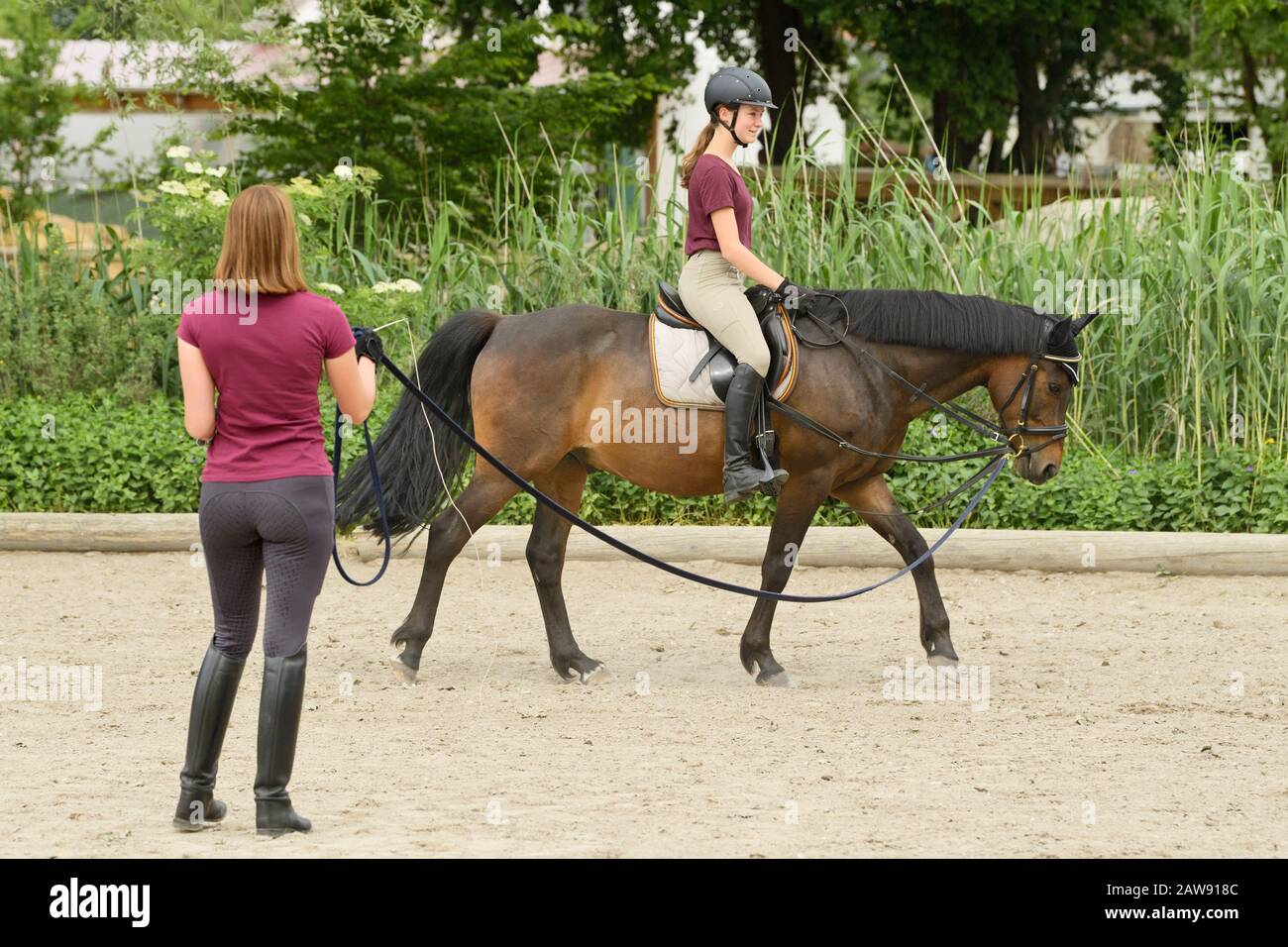 Lezione di equitazione, ragazza sul pony tedesco Foto Stock