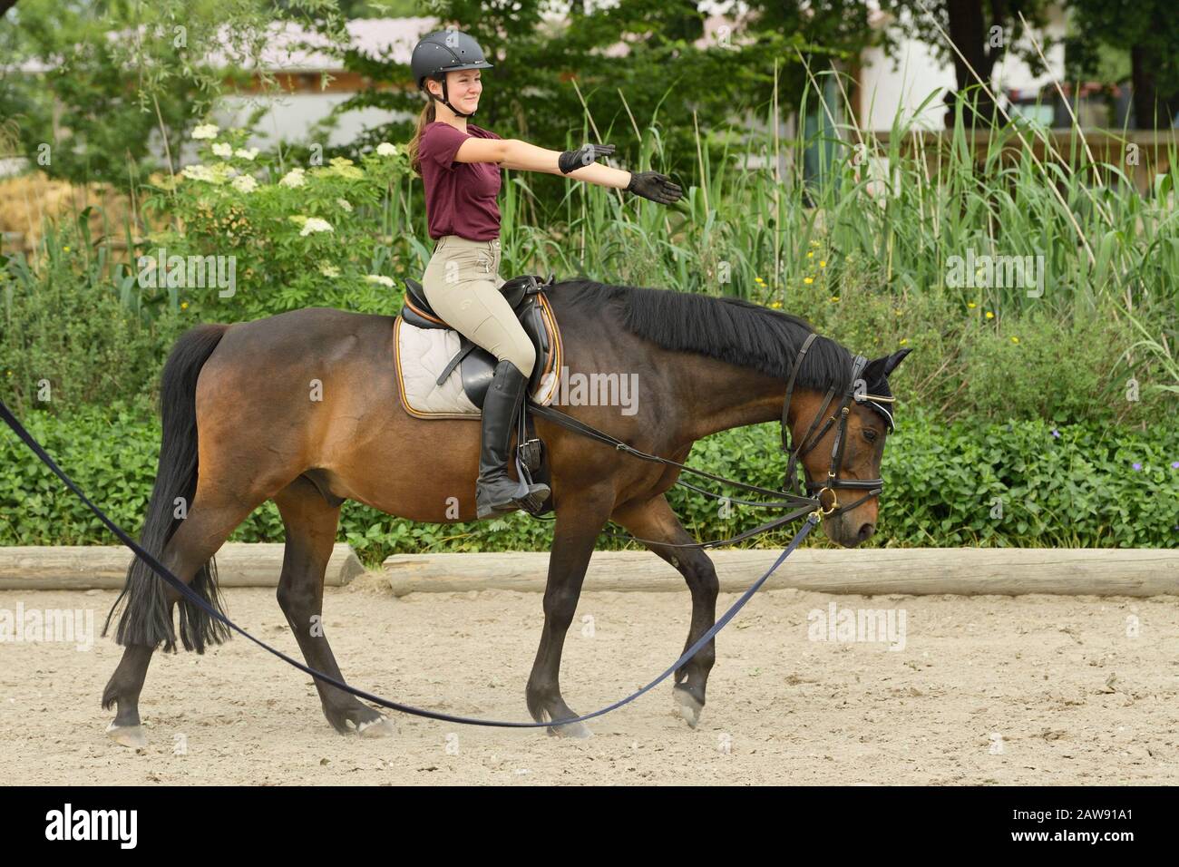 Lezione di equitazione, ragazza sul pony tedesco Foto Stock