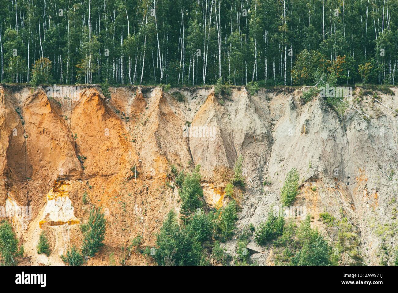 Alta spiaggia rocciosa e ripida coperta di pini. Texture sfondo Foto Stock