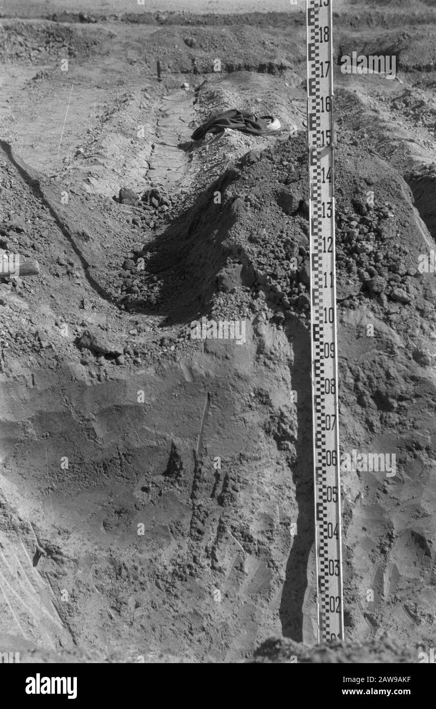 Terra, righelli Data: Parole Chiave dense: Terra, righelli Foto Stock