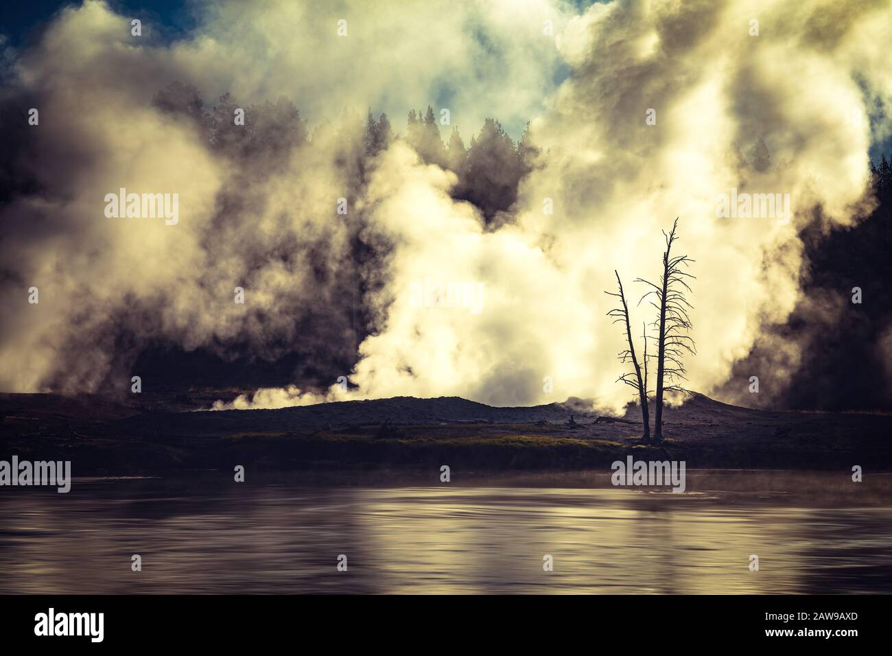 Nebbia che sale dai geyser al mattino, Parco Nazionale di Yellowstone Foto Stock