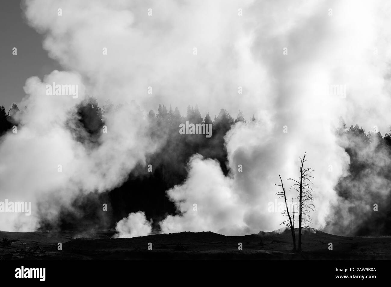 Nebbia che sale dai geyser al mattino, Parco Nazionale di Yellowstone Foto Stock