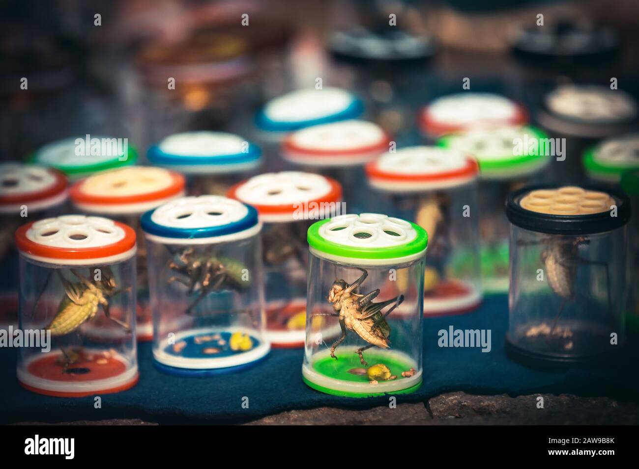 Lotta al mercato del cricket pieno di insetti a Hangzhou, Cina Foto Stock