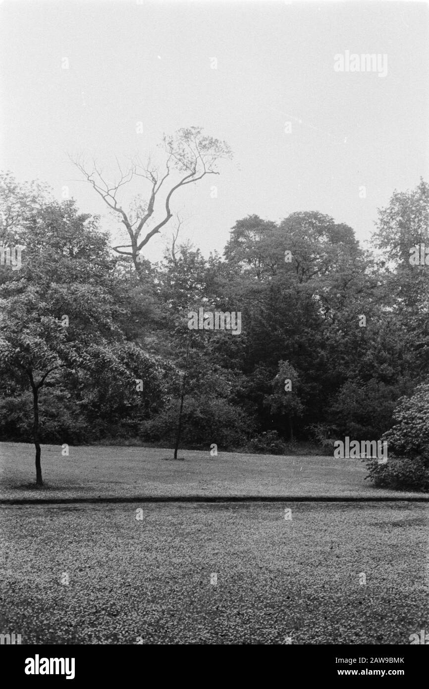 Old Copies Annotation: Original keyword Eugenü Date: June 1935 Location: Kew Gardens, London Keywords: Pioppo e salice Foto Stock