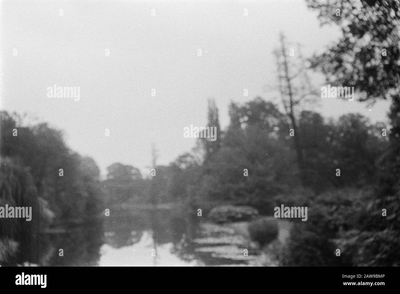 Old Copies Annotation: Original keyword Eugenü Date: June 1935 Location: Kew Gardens, London Keywords: Pioppo e salice Foto Stock