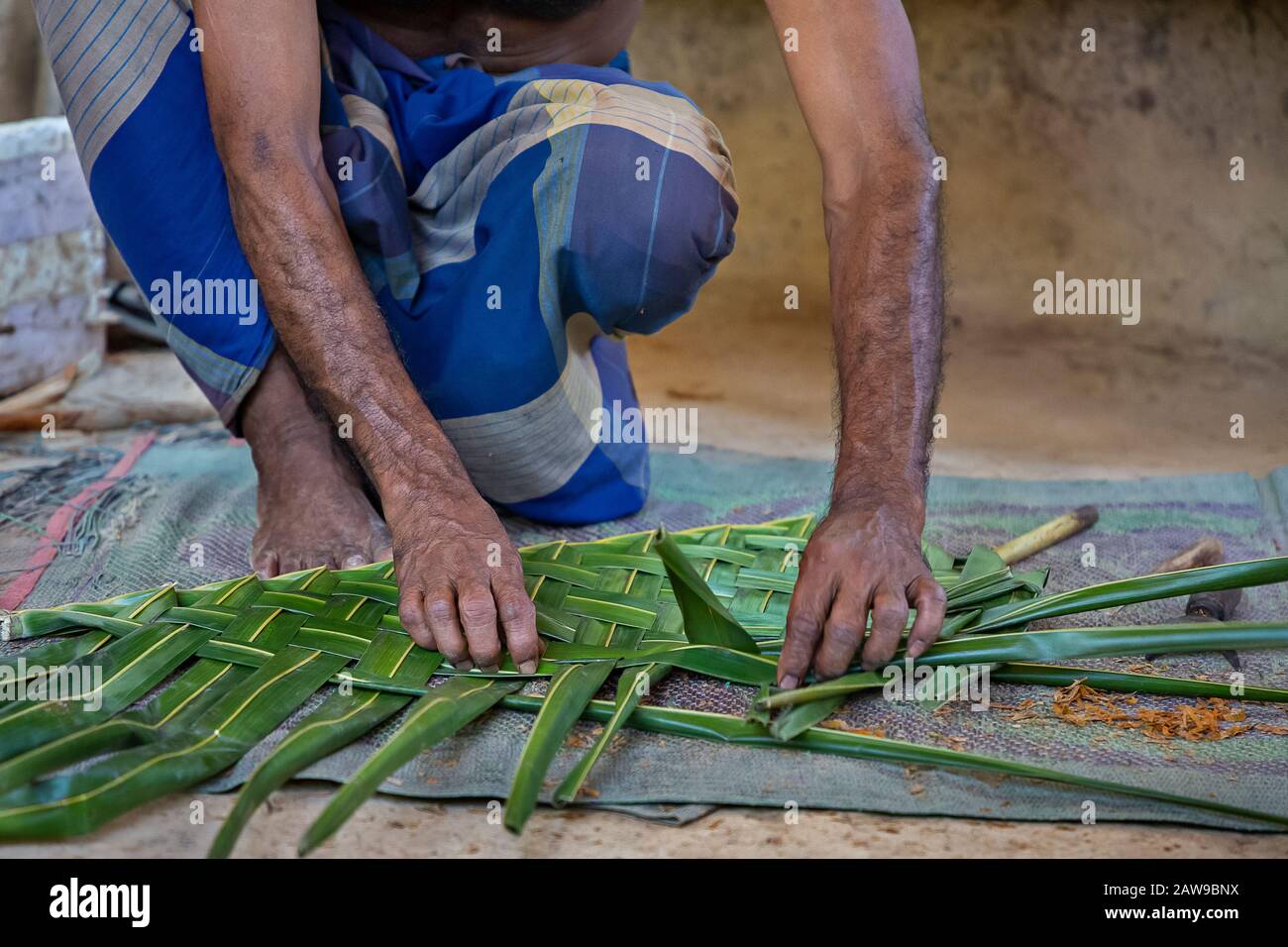 Tessitura foglie di palma per fare paglia, Sri Lanka Foto Stock