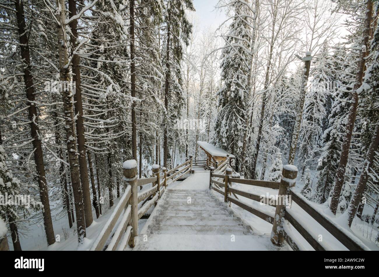 Grande scala in legno in un parco invernale. Bellissimo paesaggio invernale Foto Stock