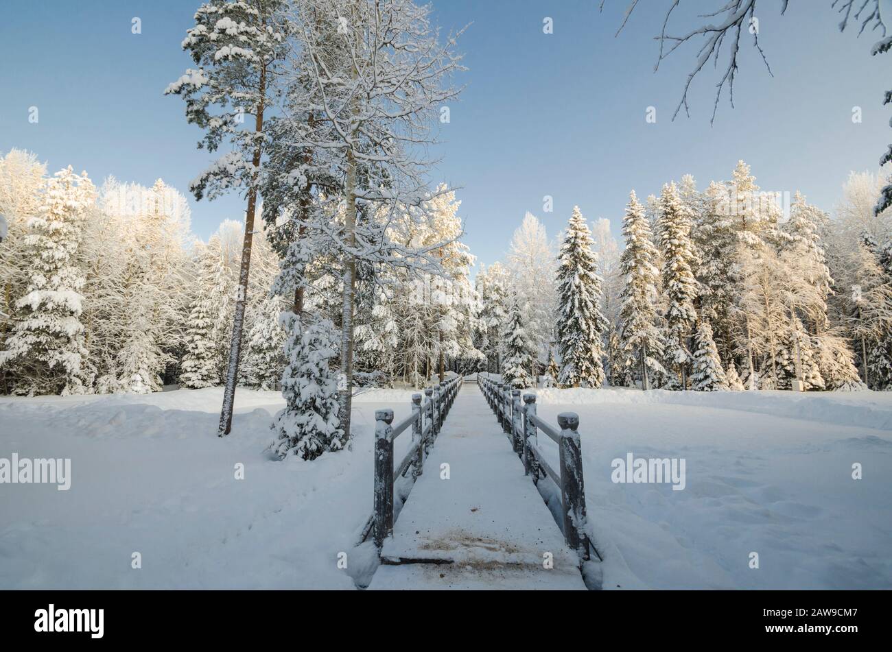 Ponte di legno su un lago ghiacciato. Passeggia attraverso un parco ghiacciato vuoto Foto Stock