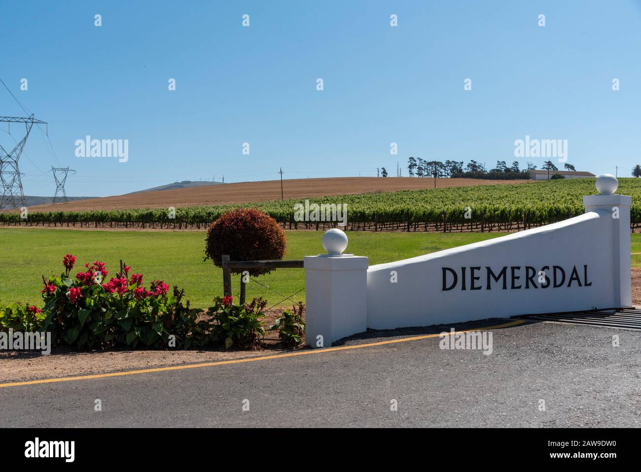Durbanville, Città Del Capo, Sudafrica. 2019. Uva sulle viti nella regione viticola di Durbanville vicino a Città del Capo, Sud Africa. Cancello d'ingresso. Foto Stock