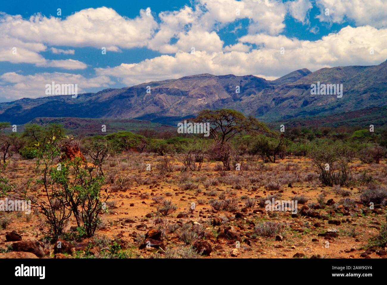 Grande Rift Valley affettare attraverso il Kenya centrale e meridionale. Foto Stock
