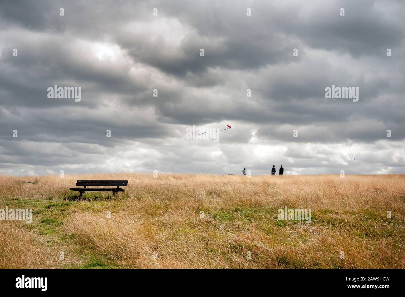 Persone che giocano sotto un cielo tenebrous a Hampstead Heath, un parco pubblico a Londra. Foto Stock