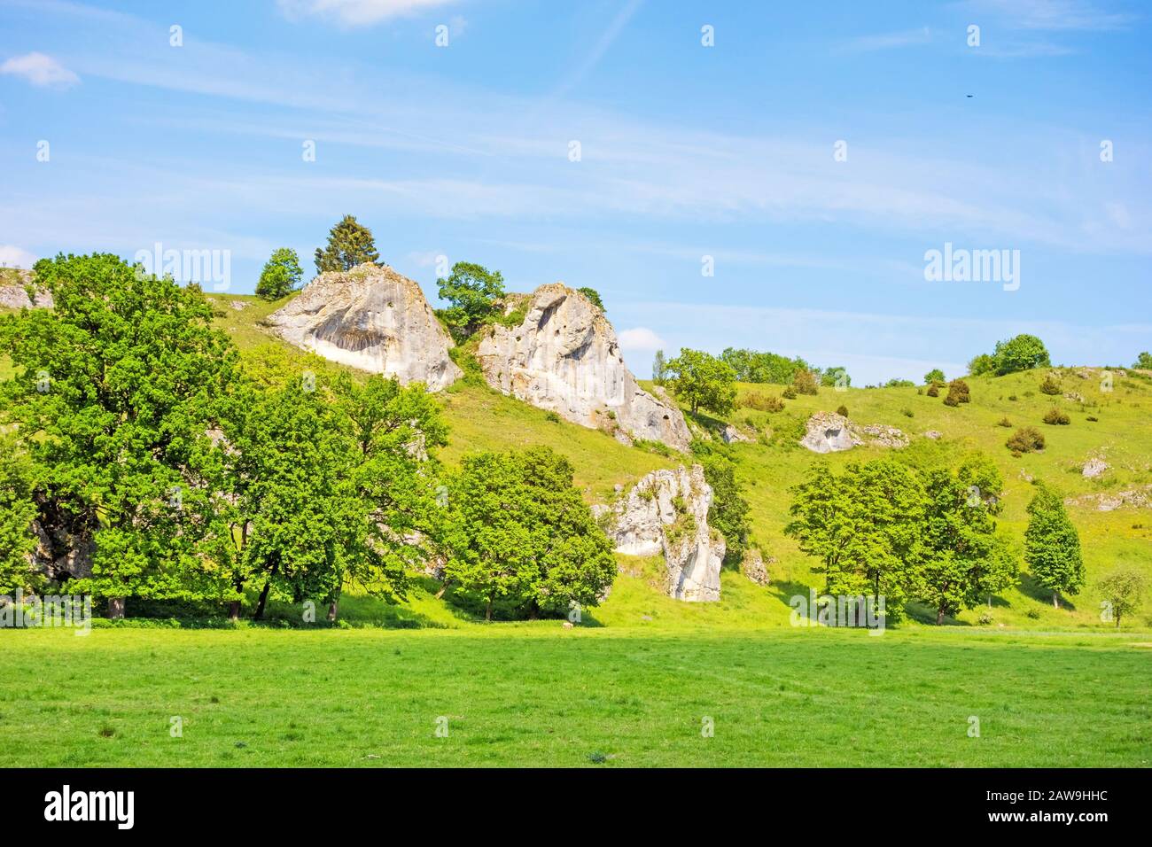 Rocce a valle Eselsburger Tal vicino al fiume Brenz - il gioiello delle Alpi sveve, prato davanti Foto Stock