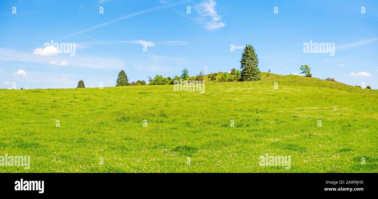 Prato verde collina con alberi e cielo blu - rurali paesaggio naturale Foto Stock