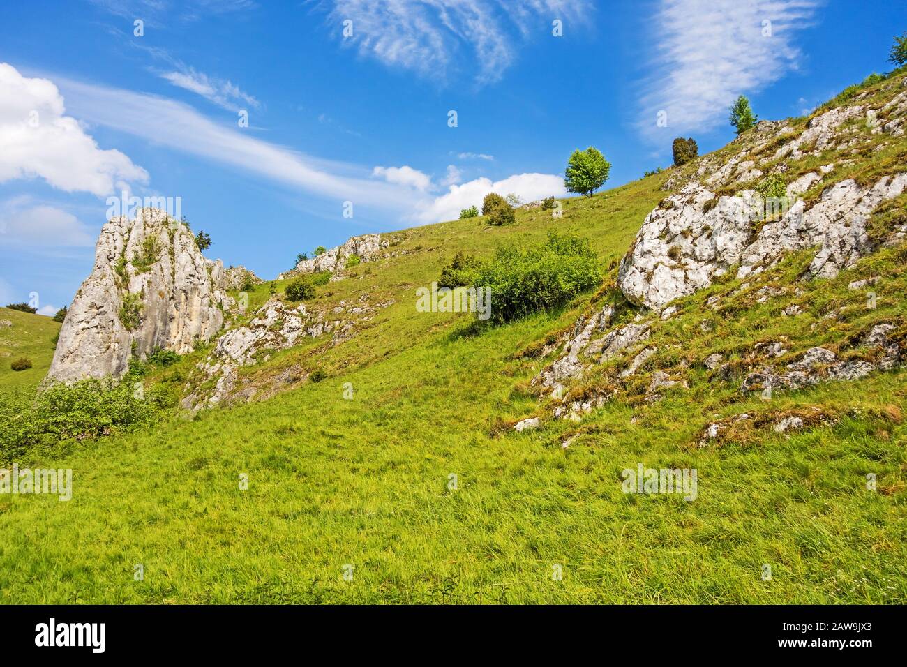 Rocce a valle Eselsburger Tal vicino al fiume Brenz - il gioiello delle Alpi sveve, prato davanti Foto Stock