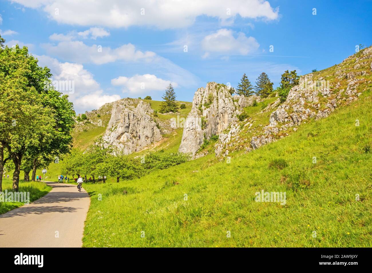 Rocce a valle Eselsburger Tal vicino al fiume Brenz - il gioiello delle Alpi sveve, prato davanti Foto Stock