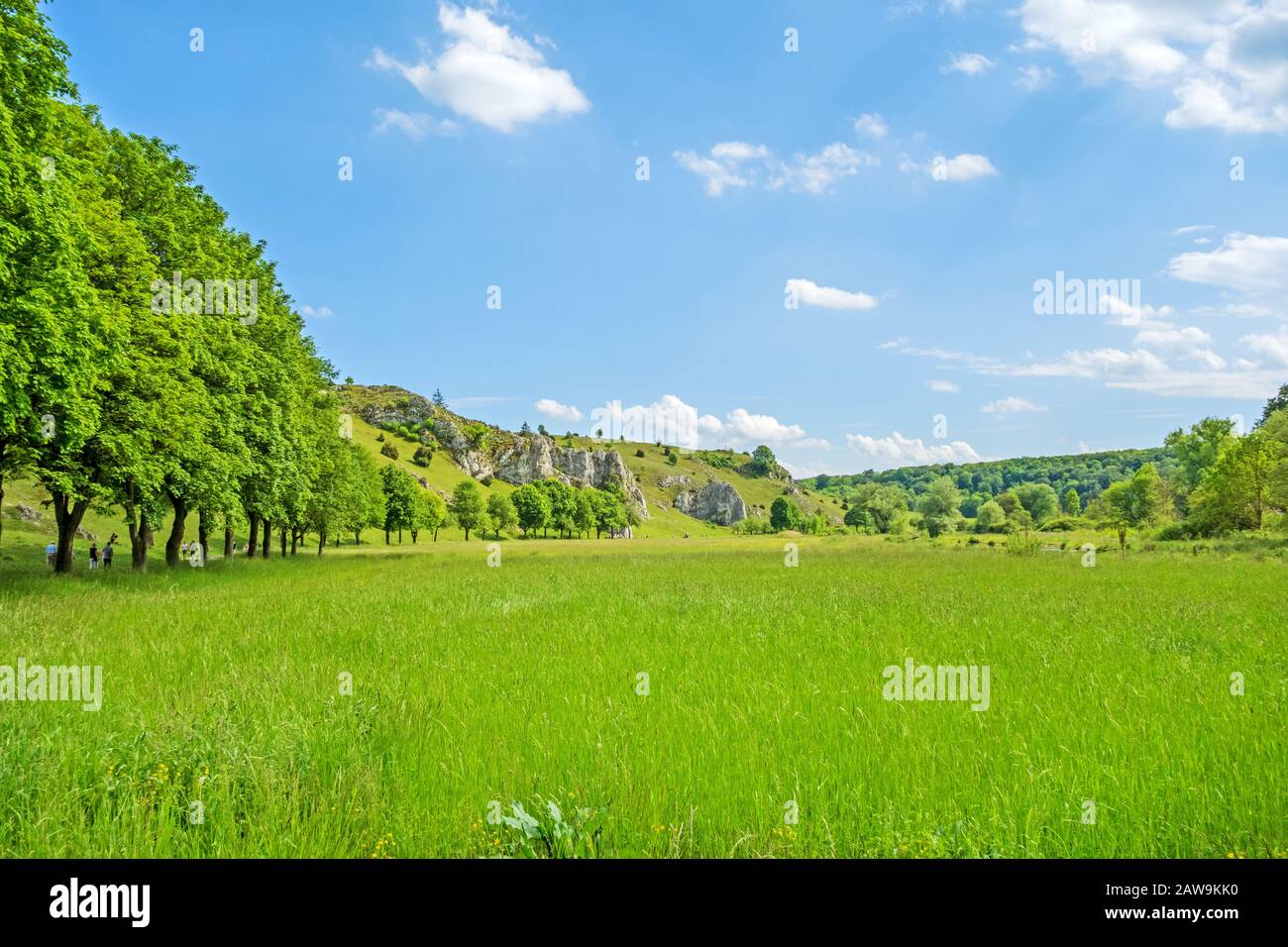 Valley Eselsburger Tal vicino al fiume Brenz - il gioiello delle Alpi Sveve (Schwaebische Alb), prato verde / prati davanti Foto Stock